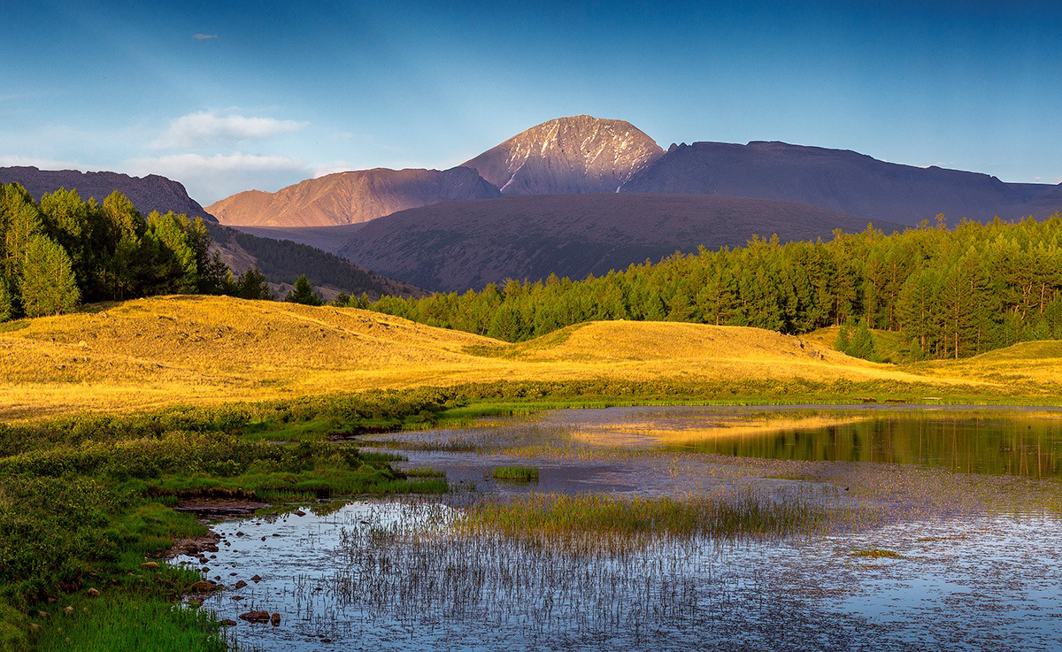 Natural landscape